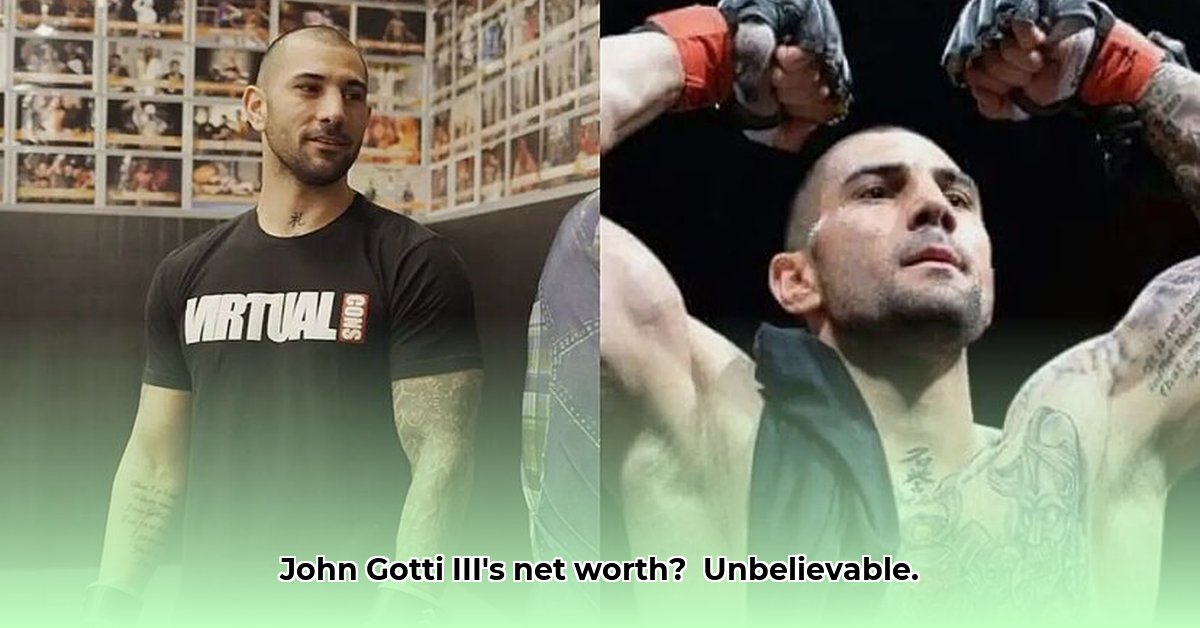 john-gotti-3-net-worth